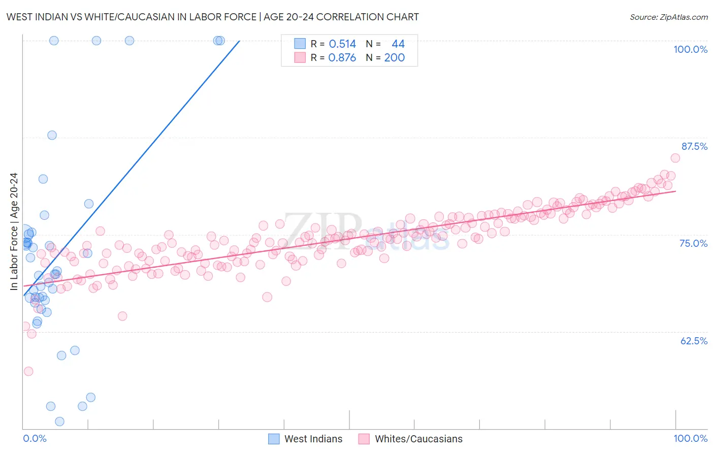 West Indian vs White/Caucasian In Labor Force | Age 20-24