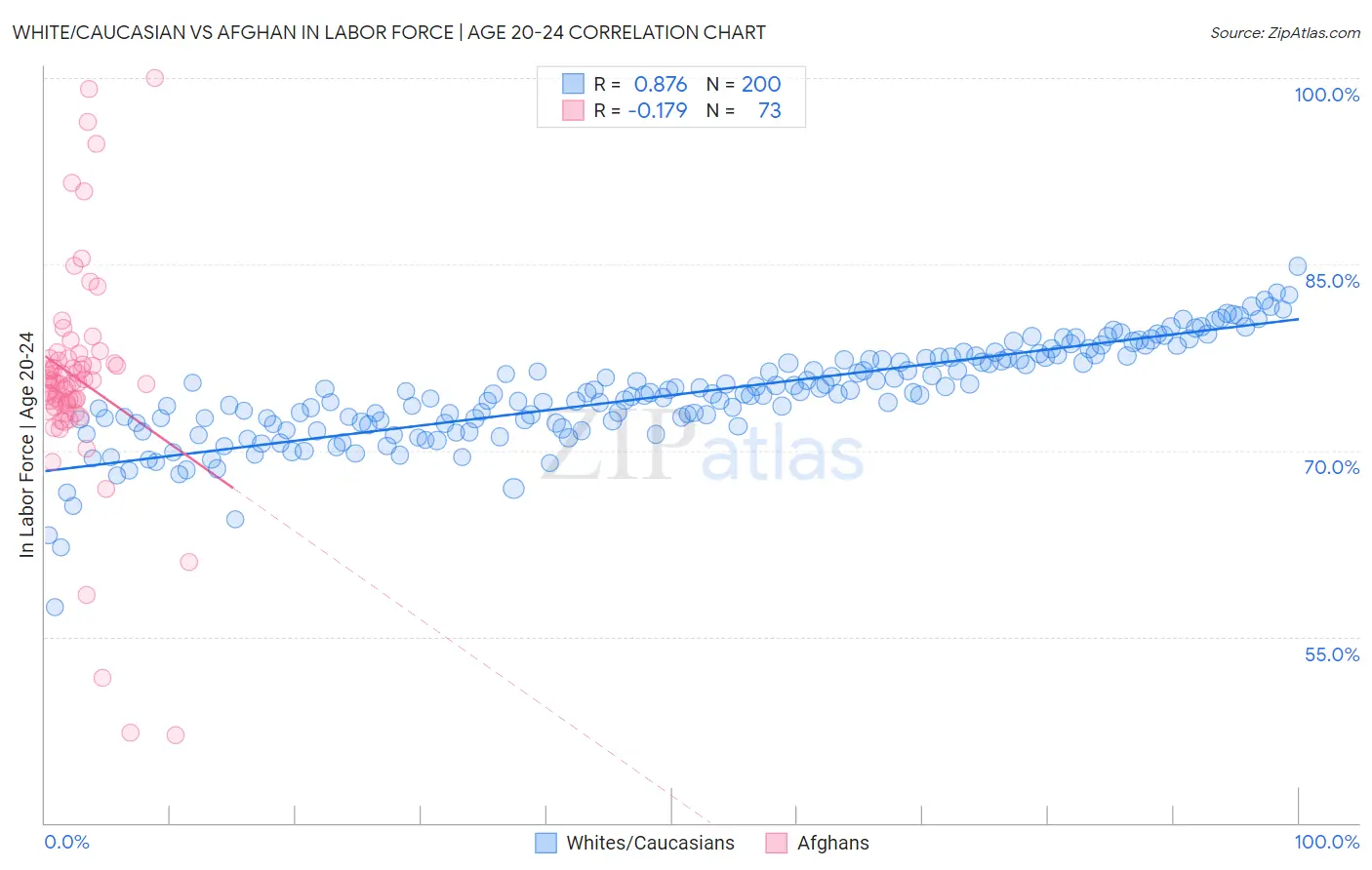 White/Caucasian vs Afghan In Labor Force | Age 20-24