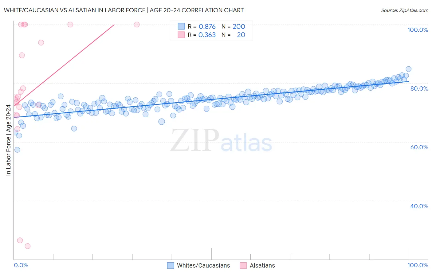 White/Caucasian vs Alsatian In Labor Force | Age 20-24