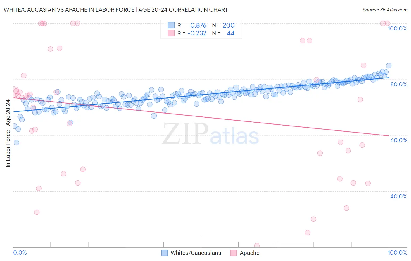 White/Caucasian vs Apache In Labor Force | Age 20-24