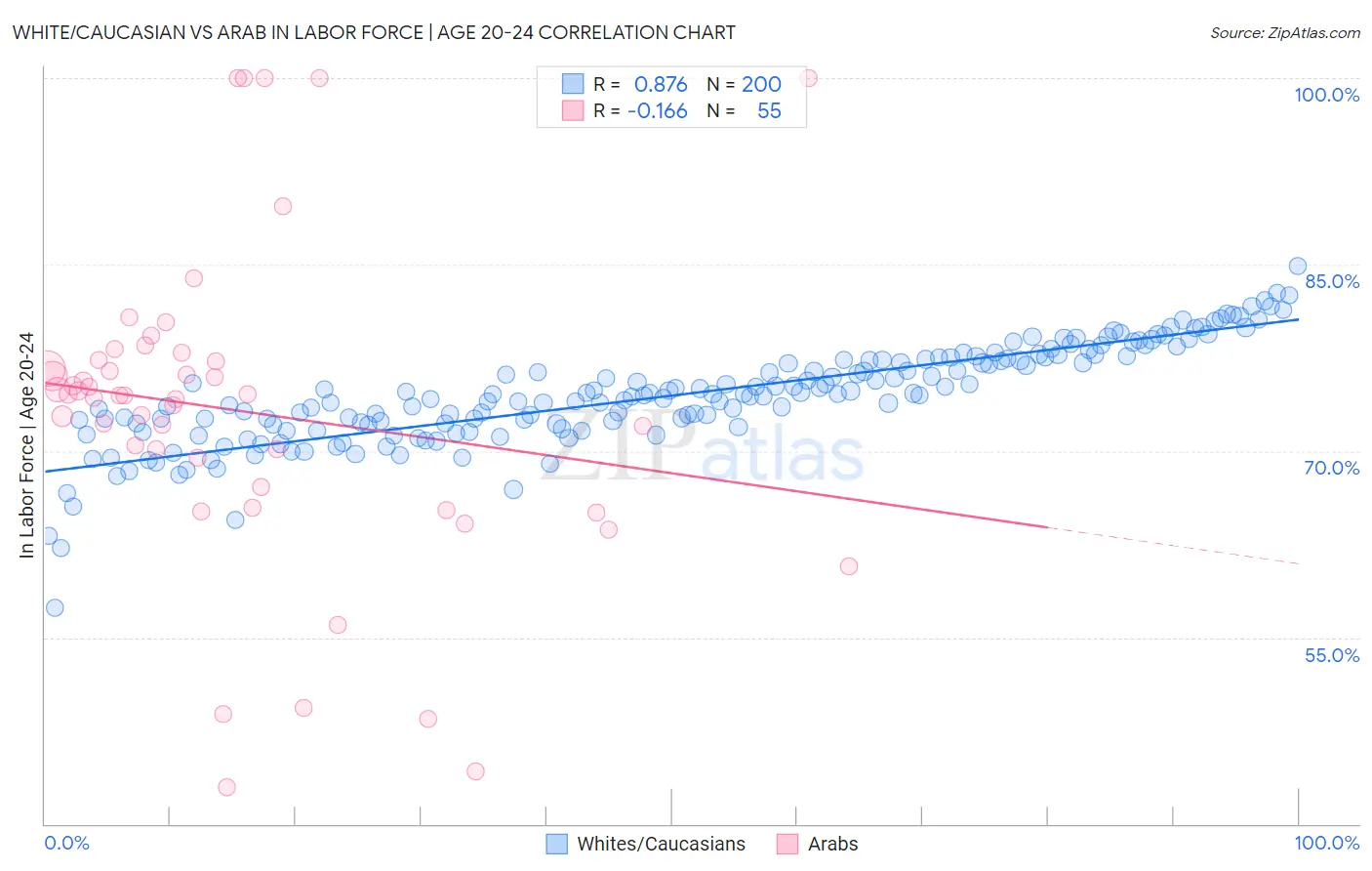 White/Caucasian vs Arab In Labor Force | Age 20-24