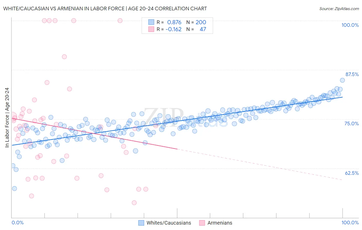 White/Caucasian vs Armenian In Labor Force | Age 20-24