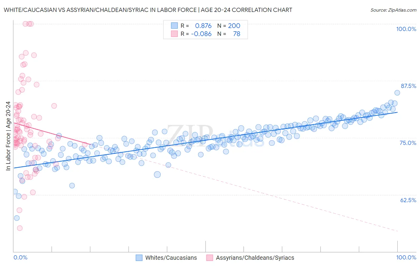 White/Caucasian vs Assyrian/Chaldean/Syriac In Labor Force | Age 20-24