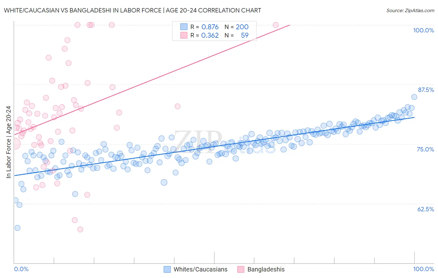 White/Caucasian vs Bangladeshi In Labor Force | Age 20-24
