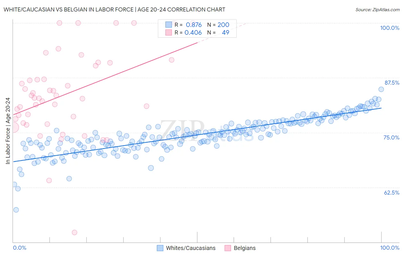 White/Caucasian vs Belgian In Labor Force | Age 20-24