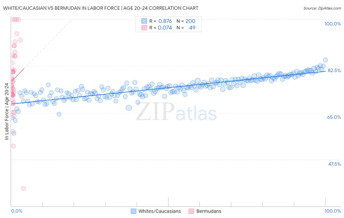 White/Caucasian vs Bermudan In Labor Force | Age 20-24