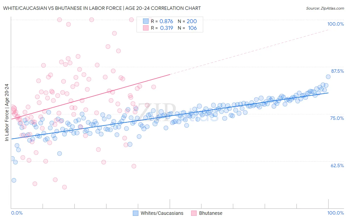 White/Caucasian vs Bhutanese In Labor Force | Age 20-24