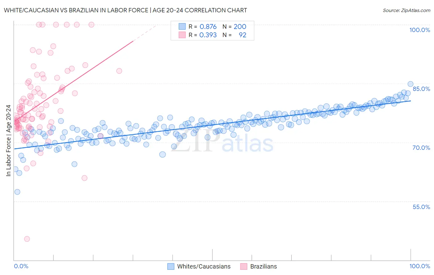 White/Caucasian vs Brazilian In Labor Force | Age 20-24