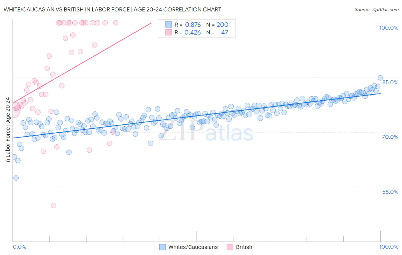 White/Caucasian vs British In Labor Force | Age 20-24