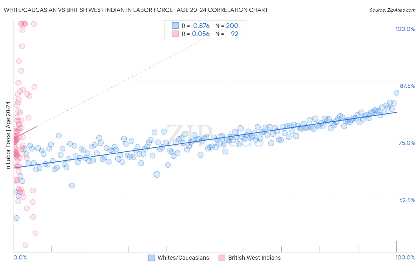 White/Caucasian vs British West Indian In Labor Force | Age 20-24