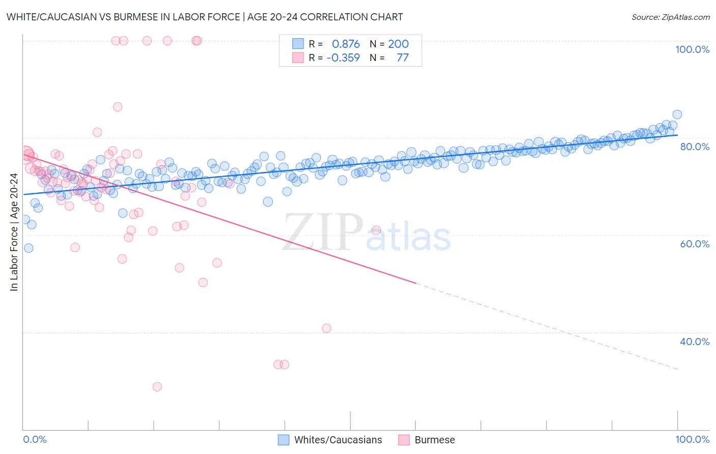 White/Caucasian vs Burmese In Labor Force | Age 20-24