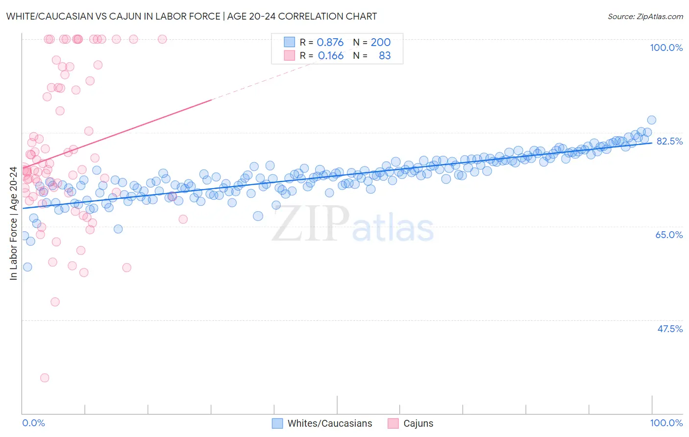 White/Caucasian vs Cajun In Labor Force | Age 20-24