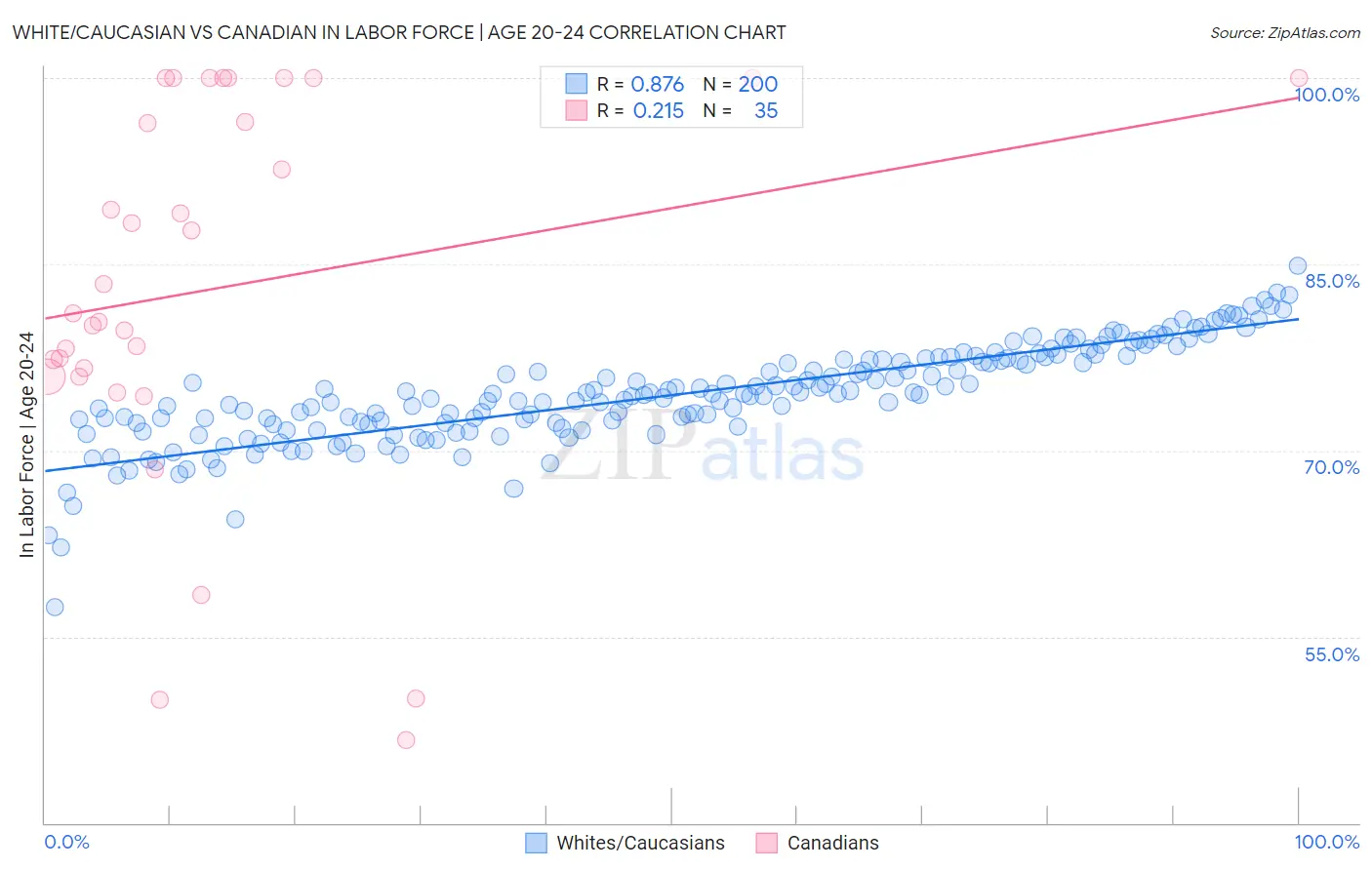 White/Caucasian vs Canadian In Labor Force | Age 20-24