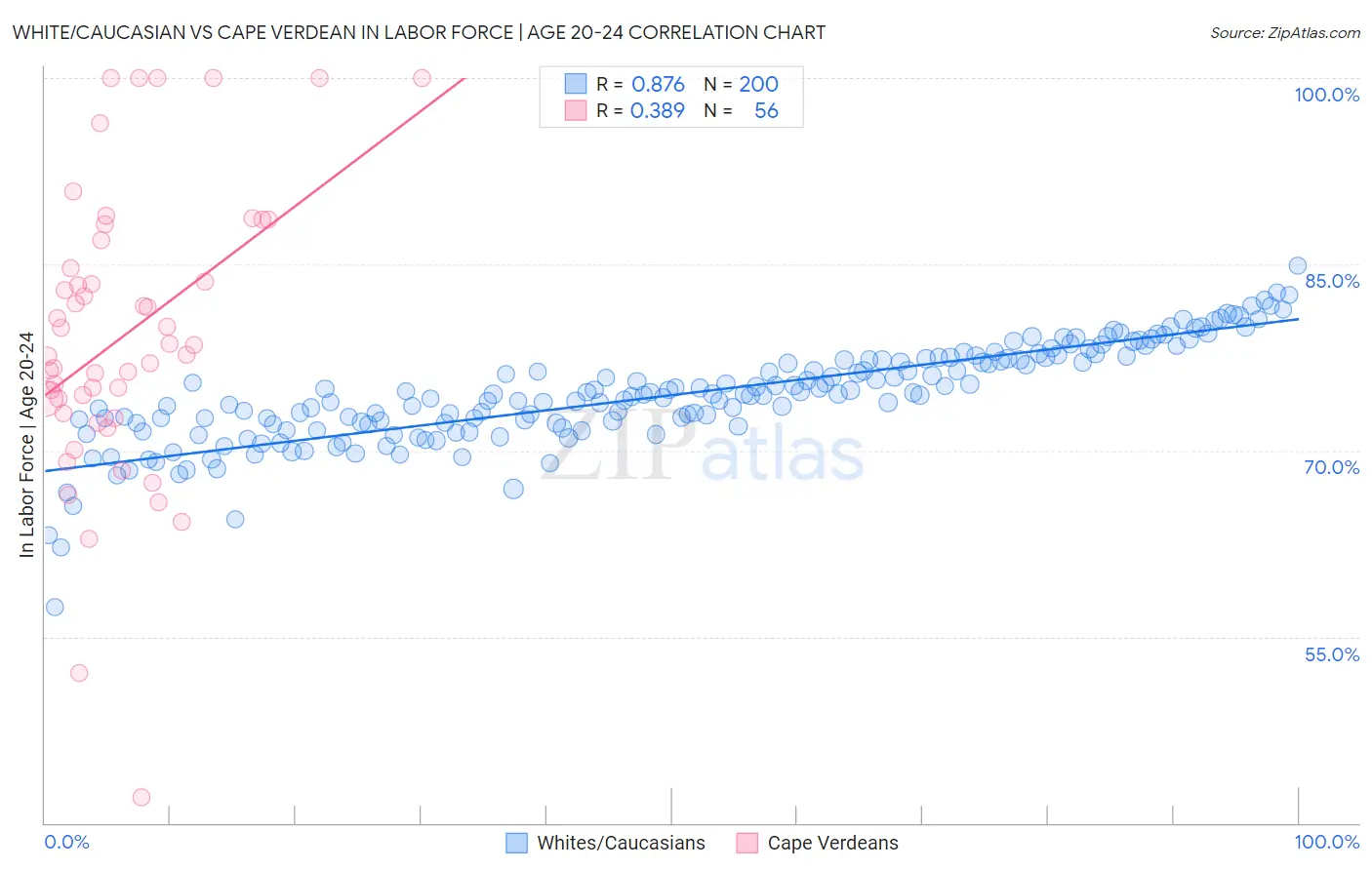 White/Caucasian vs Cape Verdean In Labor Force | Age 20-24