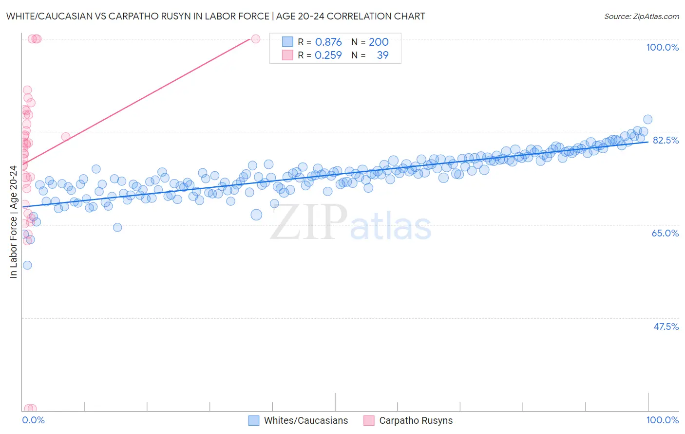 White/Caucasian vs Carpatho Rusyn In Labor Force | Age 20-24
