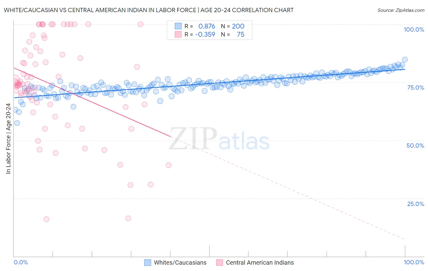 White/Caucasian vs Central American Indian In Labor Force | Age 20-24