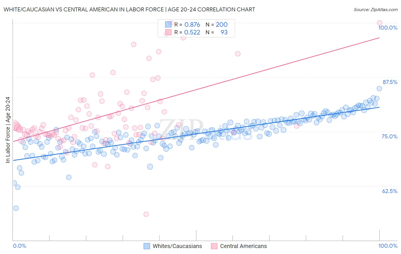 White/Caucasian vs Central American In Labor Force | Age 20-24