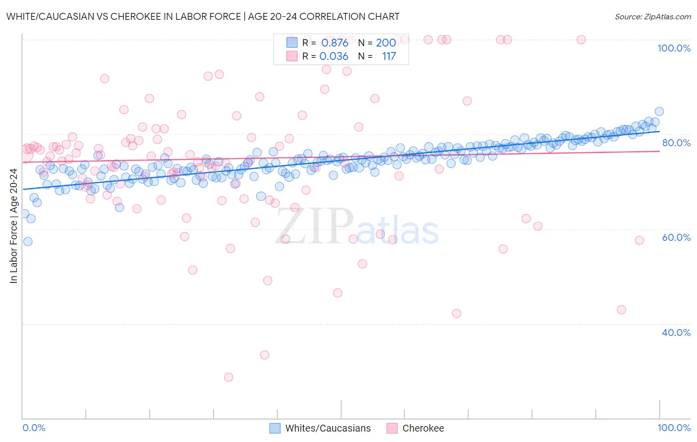 White/Caucasian vs Cherokee In Labor Force | Age 20-24