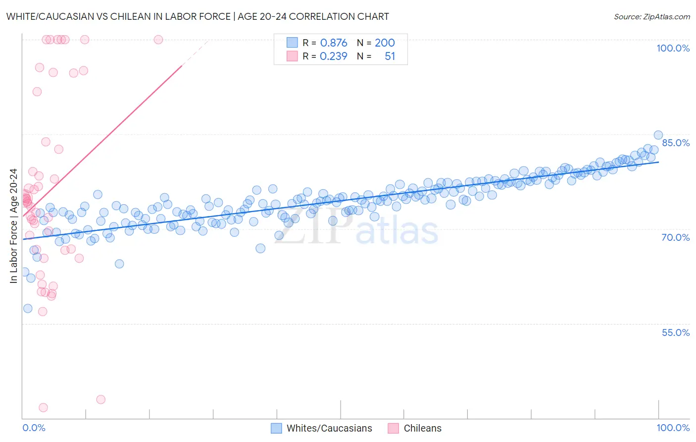 White/Caucasian vs Chilean In Labor Force | Age 20-24
