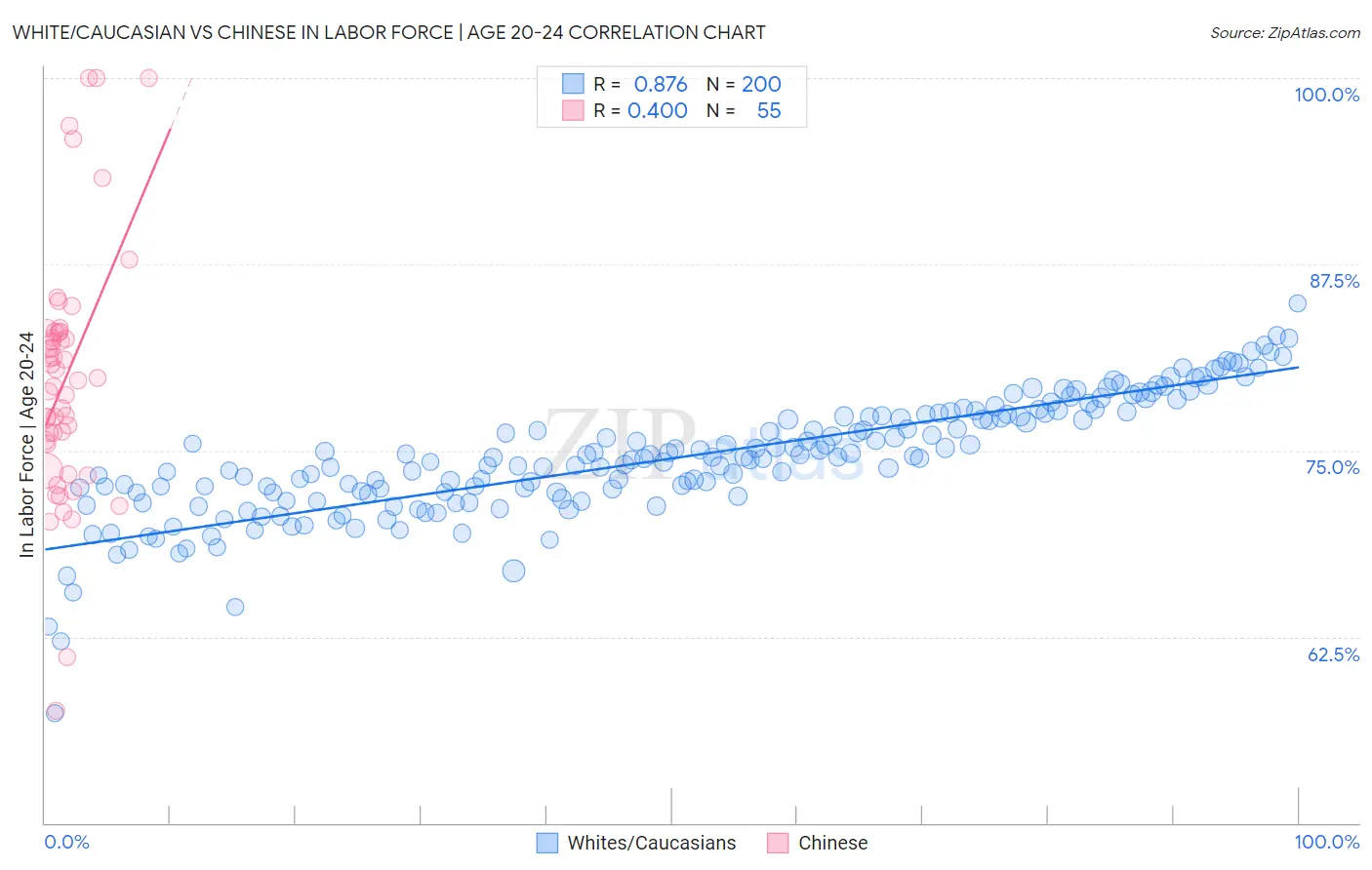 White/Caucasian vs Chinese In Labor Force | Age 20-24