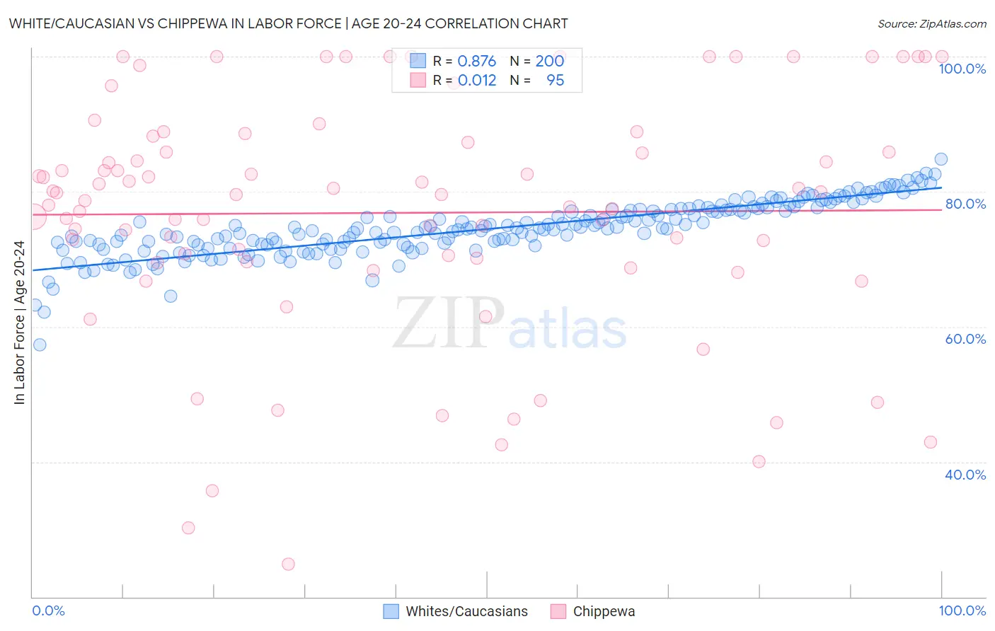 White/Caucasian vs Chippewa In Labor Force | Age 20-24