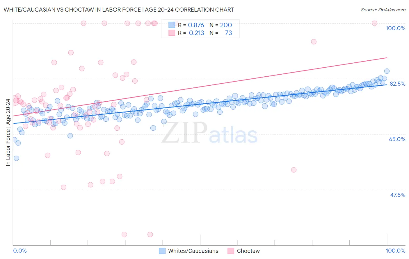 White/Caucasian vs Choctaw In Labor Force | Age 20-24