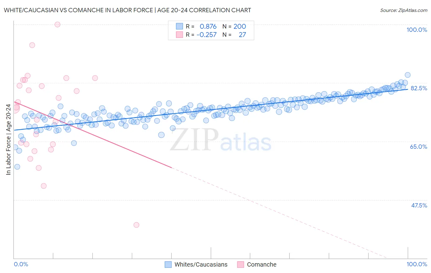 White/Caucasian vs Comanche In Labor Force | Age 20-24