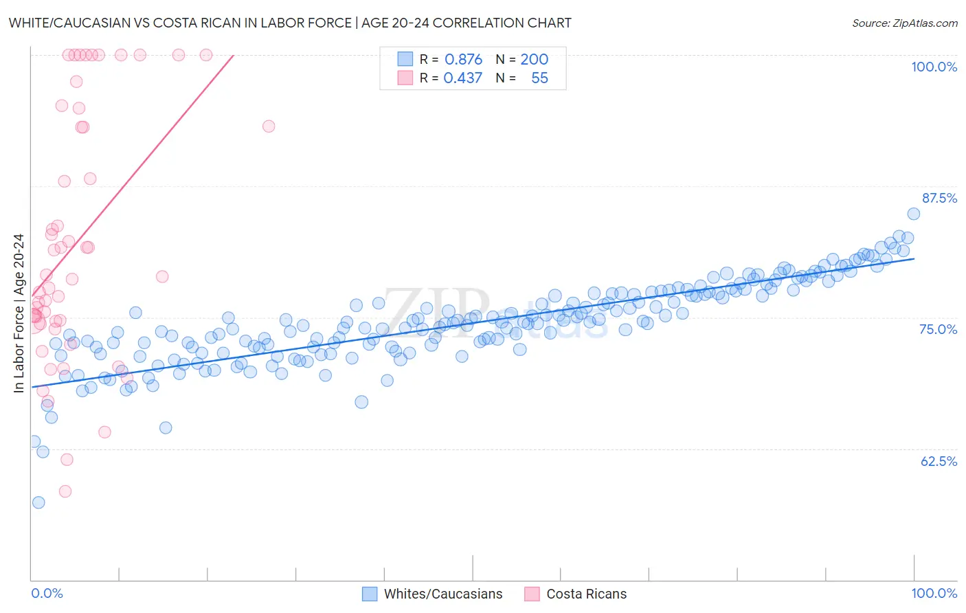 White/Caucasian vs Costa Rican In Labor Force | Age 20-24