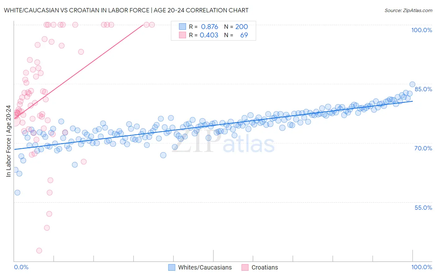 White/Caucasian vs Croatian In Labor Force | Age 20-24