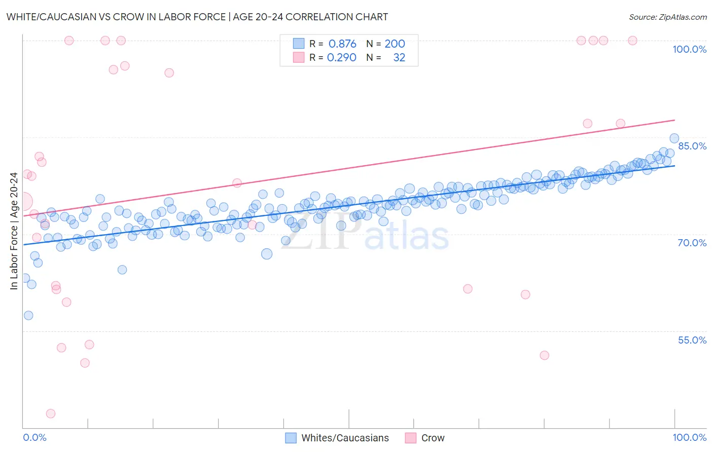 White/Caucasian vs Crow In Labor Force | Age 20-24