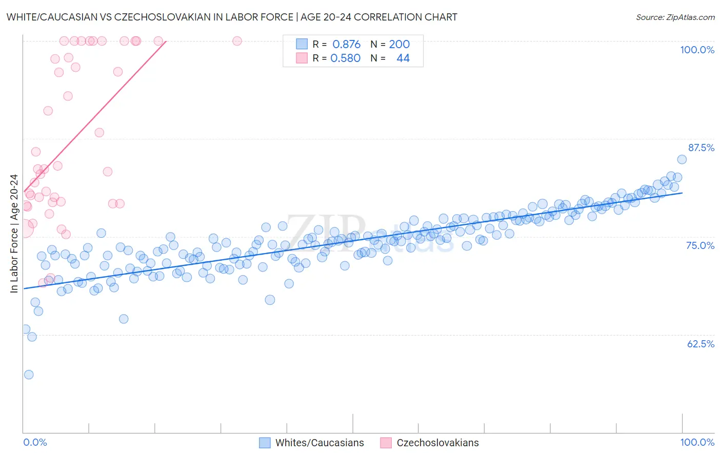 White/Caucasian vs Czechoslovakian In Labor Force | Age 20-24