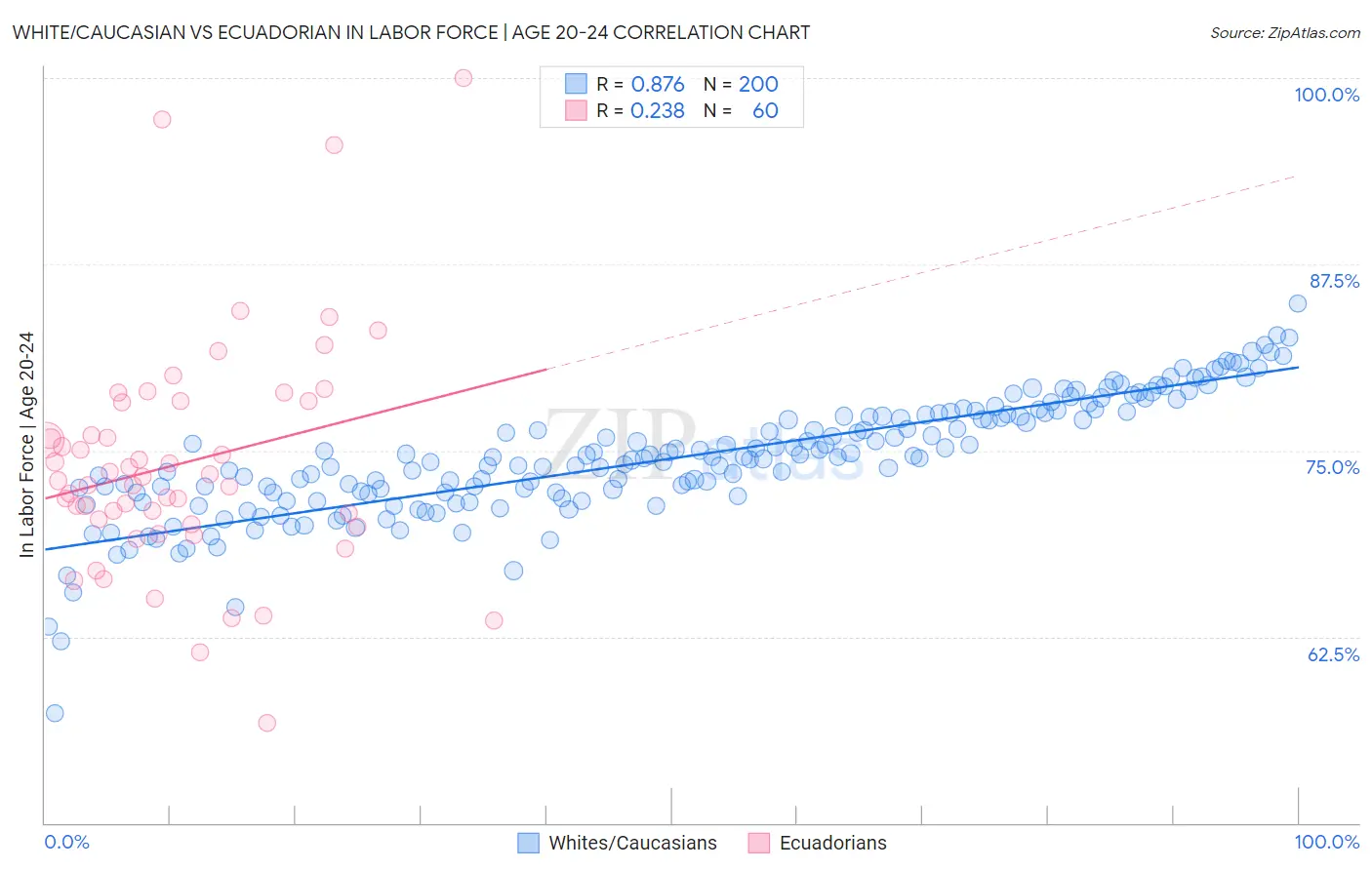 White/Caucasian vs Ecuadorian In Labor Force | Age 20-24