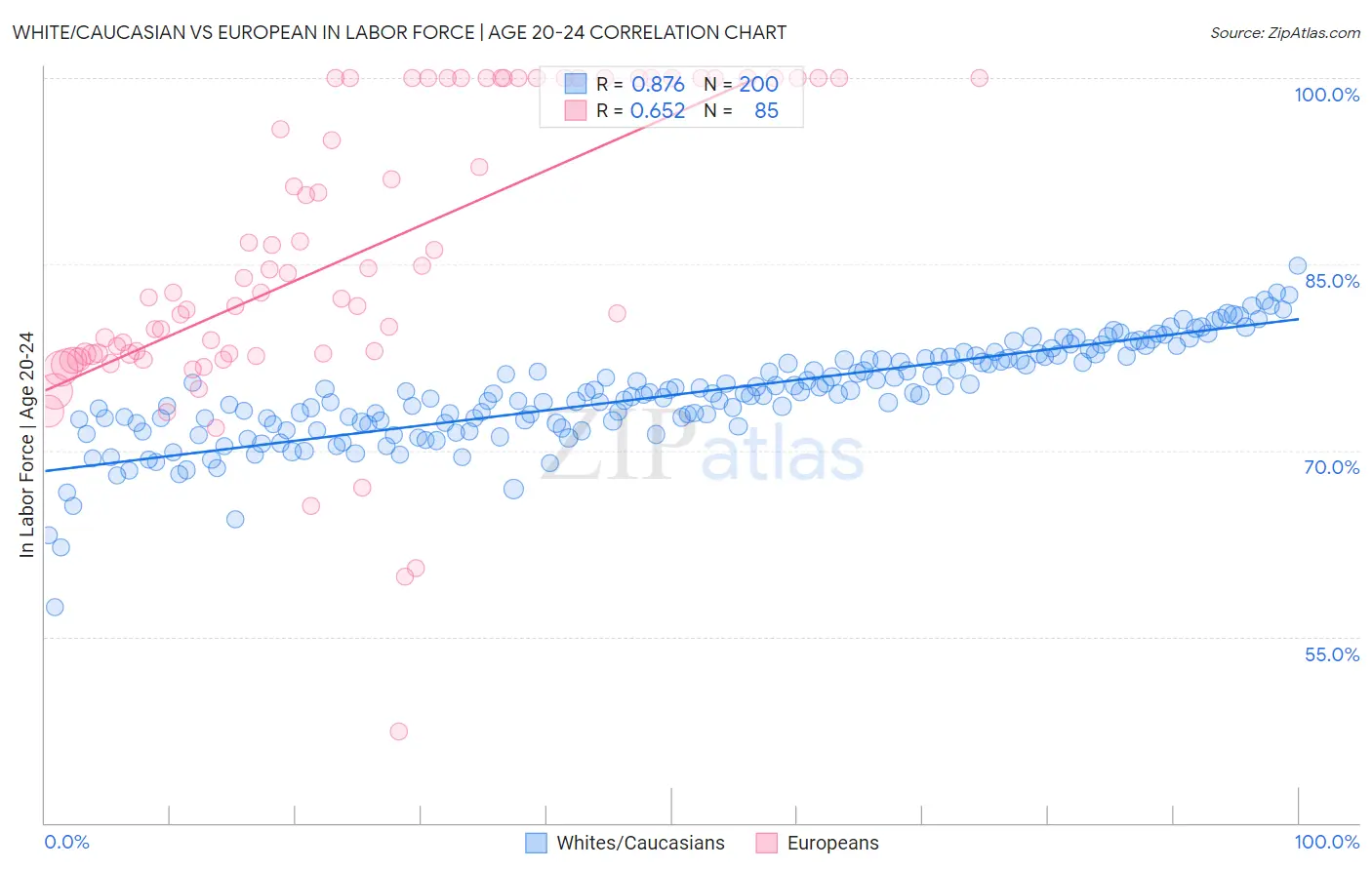 White/Caucasian vs European In Labor Force | Age 20-24