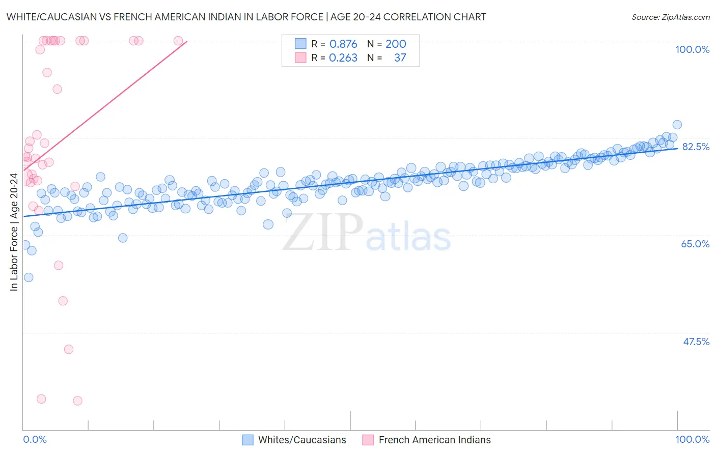 White/Caucasian vs French American Indian In Labor Force | Age 20-24