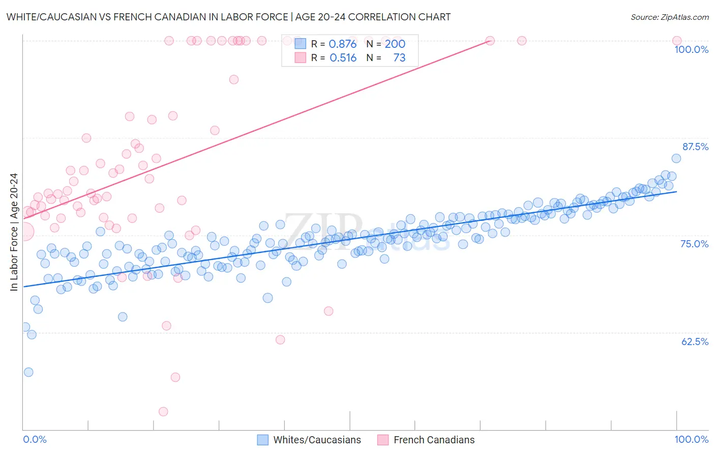White/Caucasian vs French Canadian In Labor Force | Age 20-24