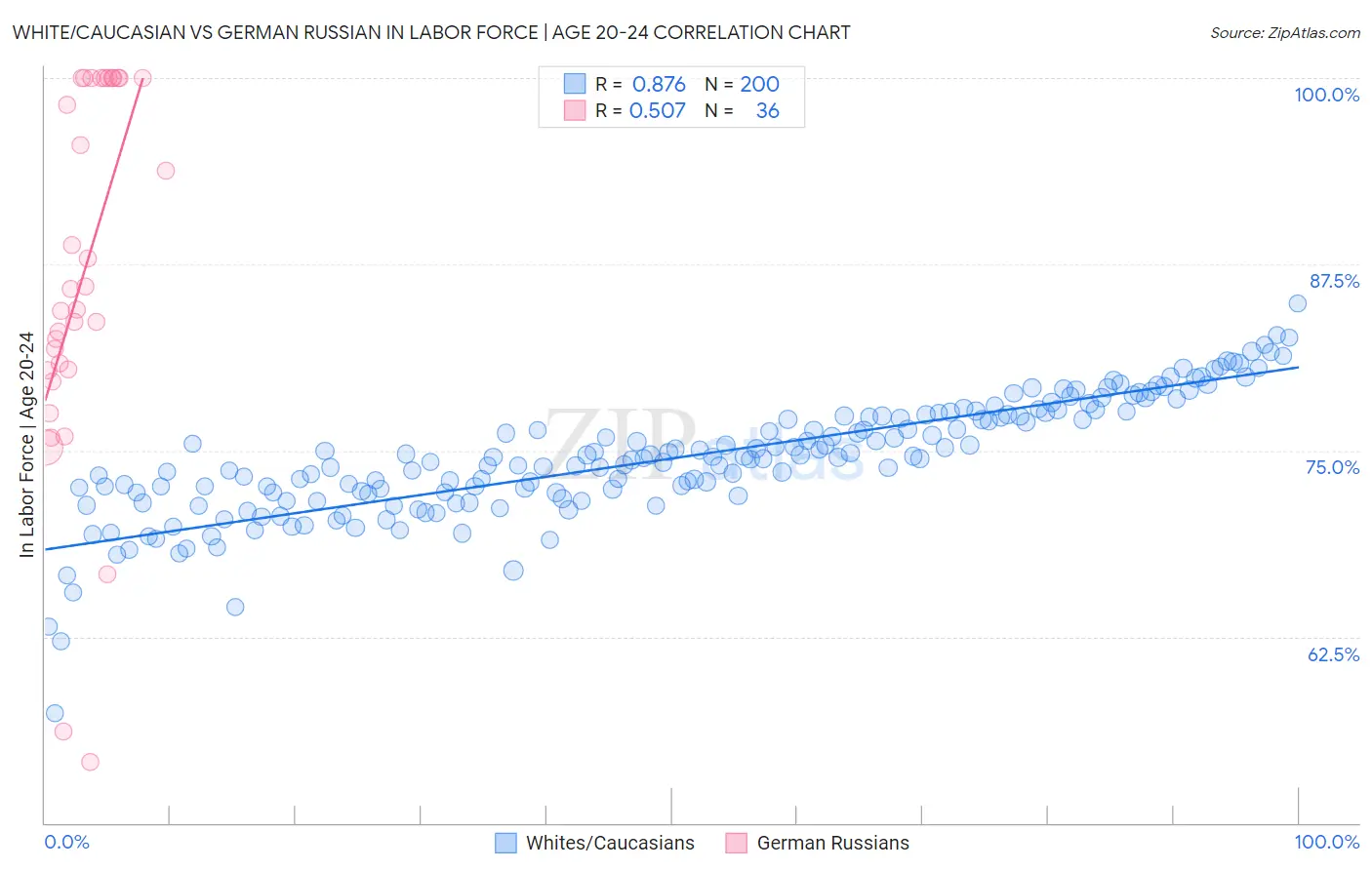 White/Caucasian vs German Russian In Labor Force | Age 20-24