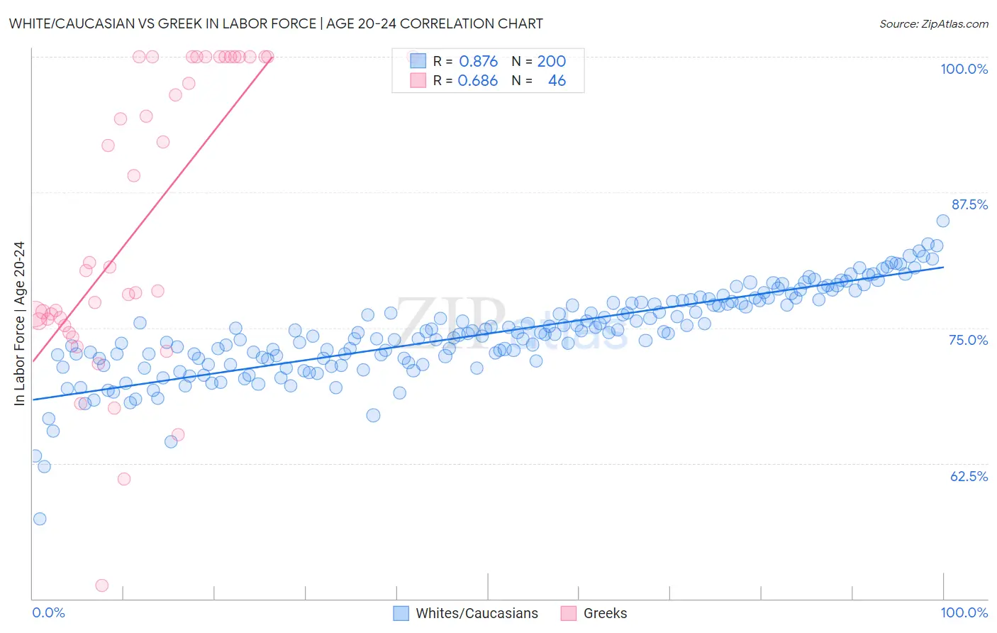 White/Caucasian vs Greek In Labor Force | Age 20-24
