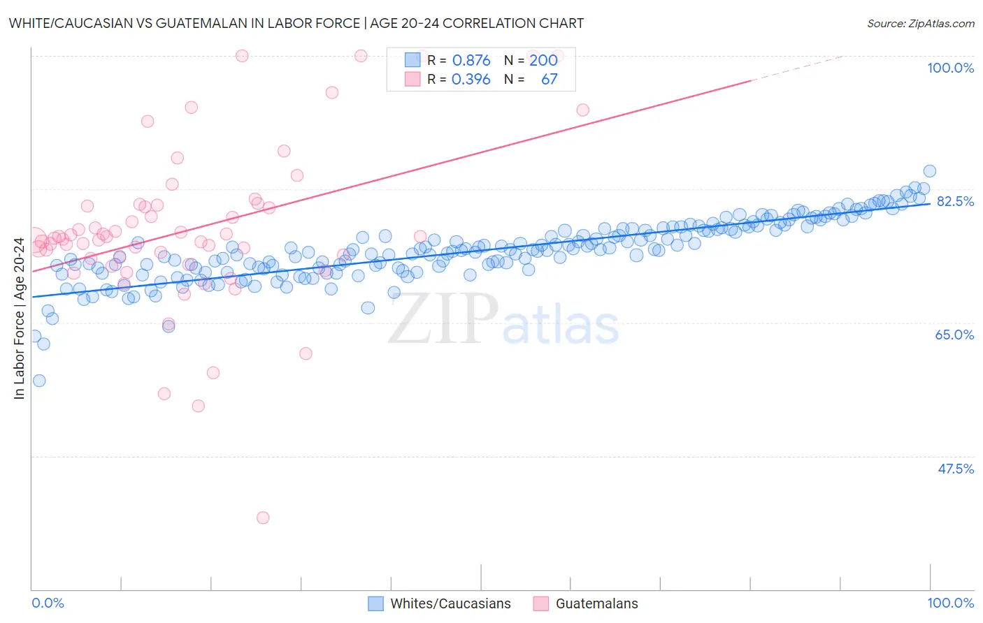 White/Caucasian vs Guatemalan In Labor Force | Age 20-24