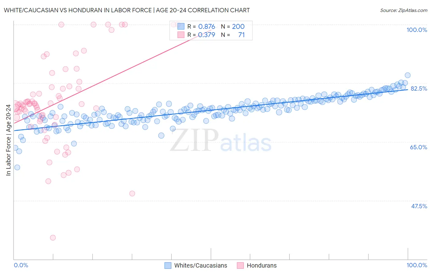 White/Caucasian vs Honduran In Labor Force | Age 20-24