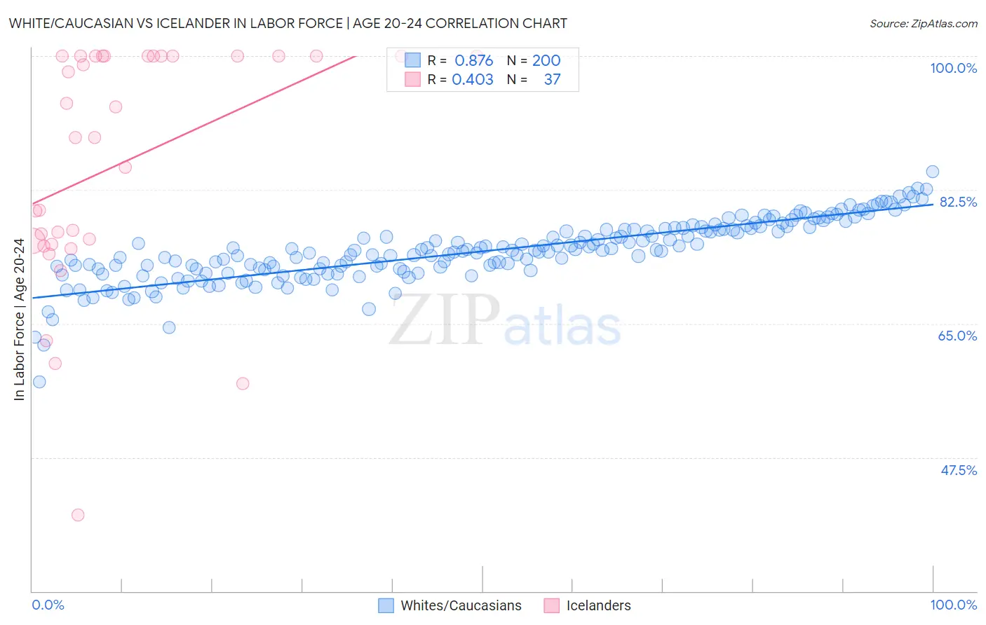 White/Caucasian vs Icelander In Labor Force | Age 20-24