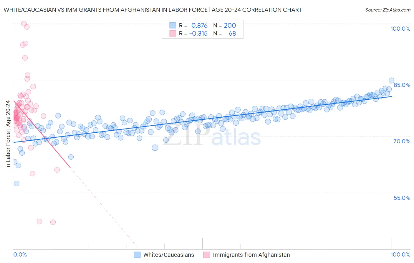 White/Caucasian vs Immigrants from Afghanistan In Labor Force | Age 20-24