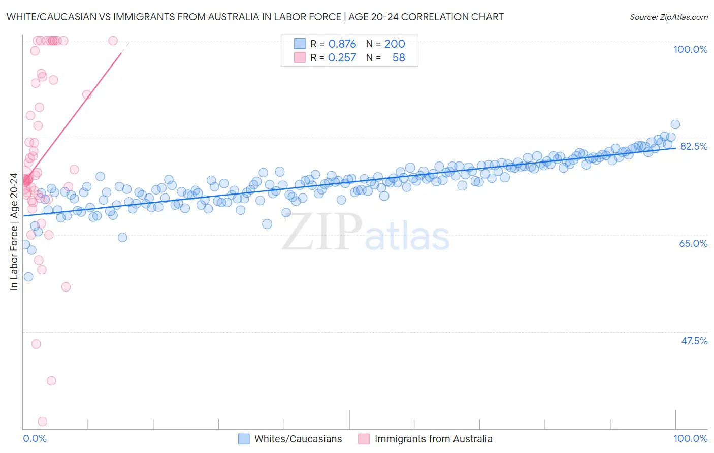 White/Caucasian vs Immigrants from Australia In Labor Force | Age 20-24