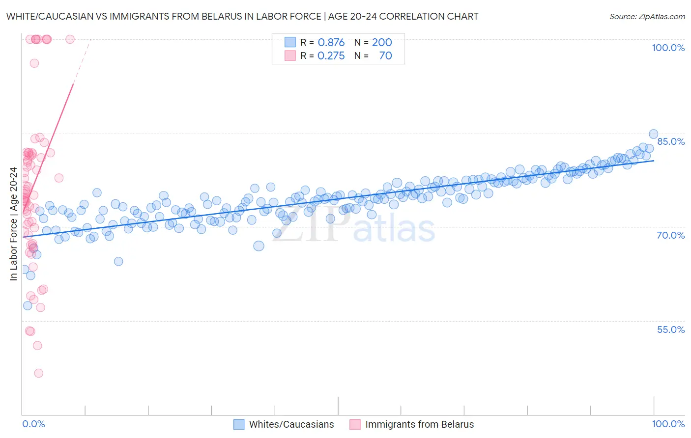 White/Caucasian vs Immigrants from Belarus In Labor Force | Age 20-24