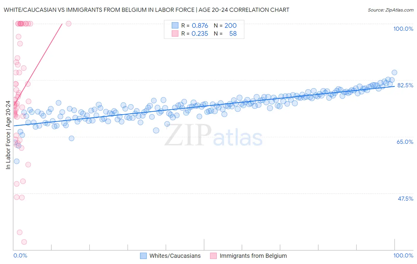 White/Caucasian vs Immigrants from Belgium In Labor Force | Age 20-24