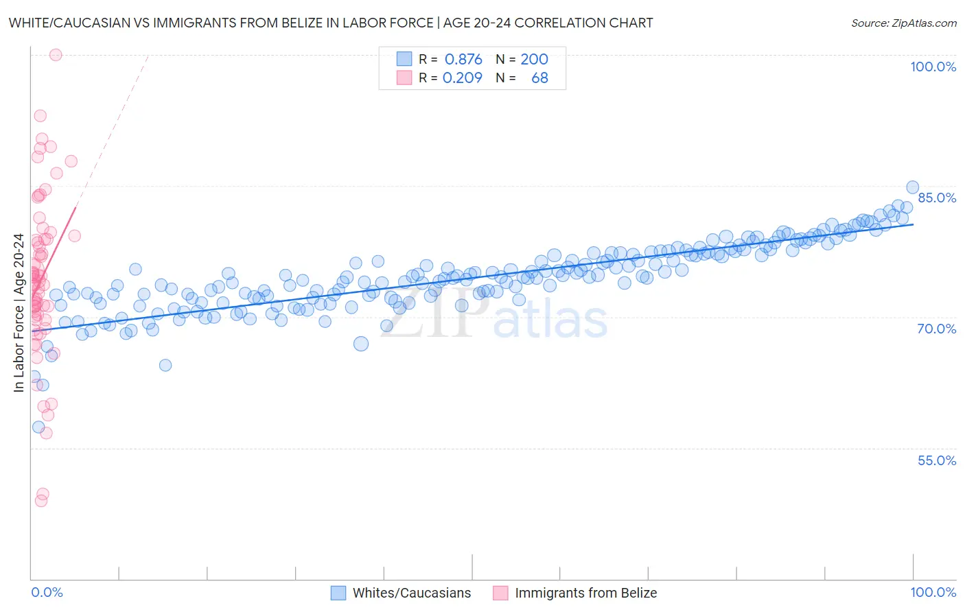 White/Caucasian vs Immigrants from Belize In Labor Force | Age 20-24