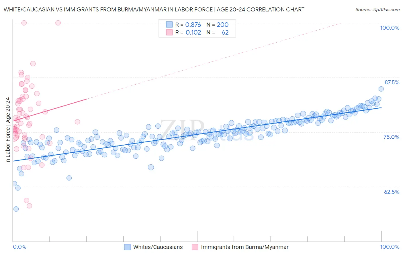 White/Caucasian vs Immigrants from Burma/Myanmar In Labor Force | Age 20-24