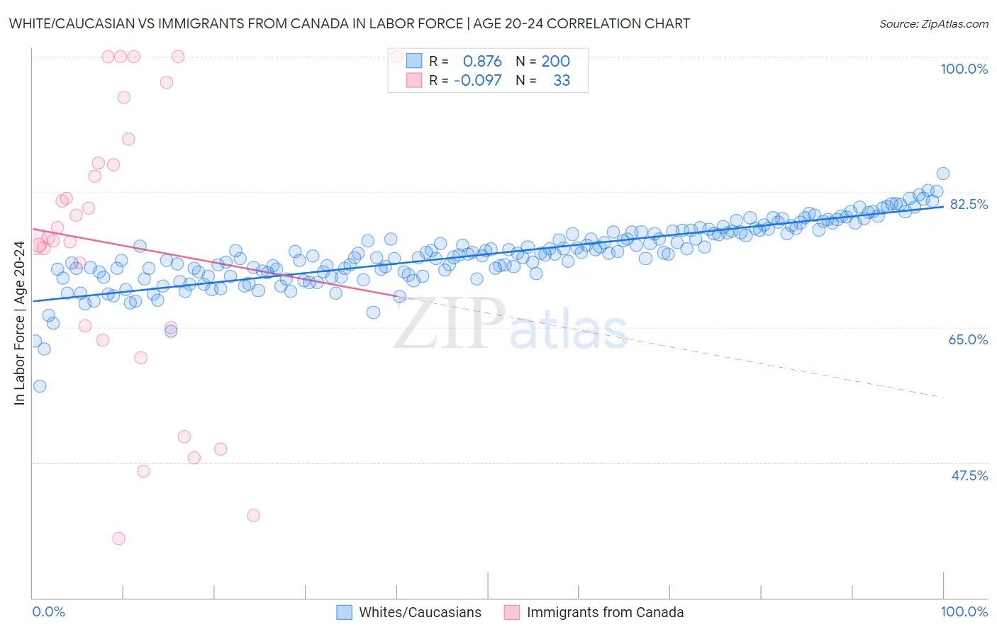 White/Caucasian vs Immigrants from Canada In Labor Force | Age 20-24