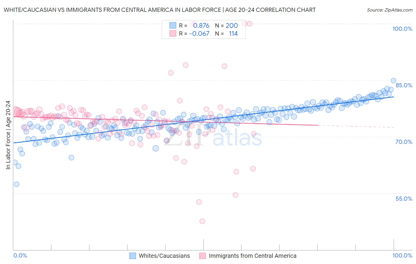 White/Caucasian vs Immigrants from Central America In Labor Force | Age 20-24