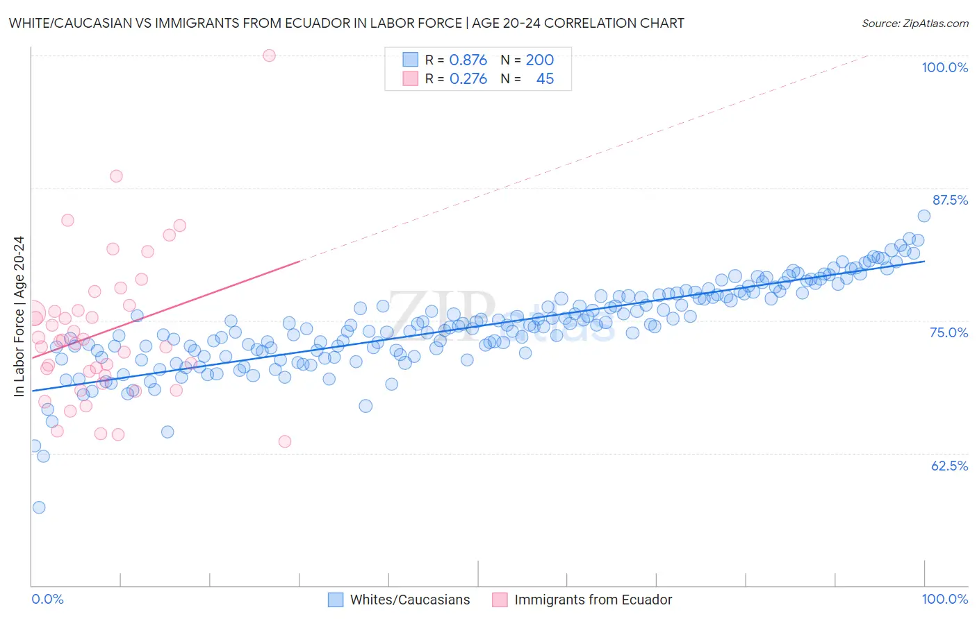 White/Caucasian vs Immigrants from Ecuador In Labor Force | Age 20-24