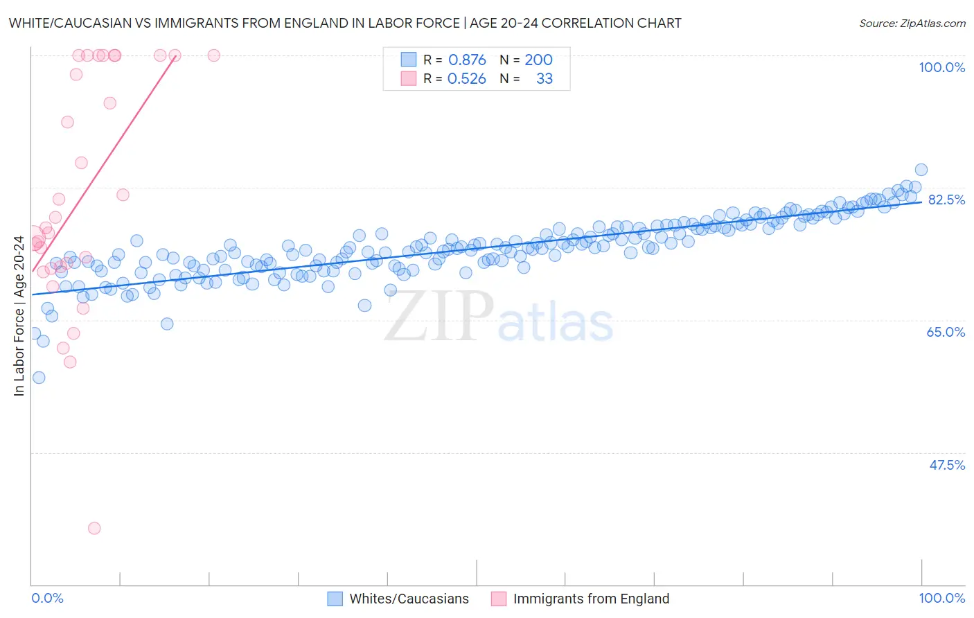 White/Caucasian vs Immigrants from England In Labor Force | Age 20-24